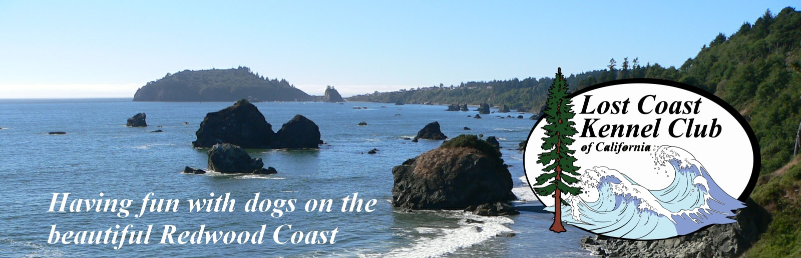 Lost Coast Kennel Club